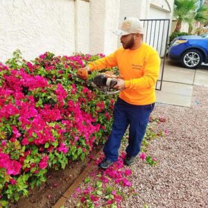 flower-pruning