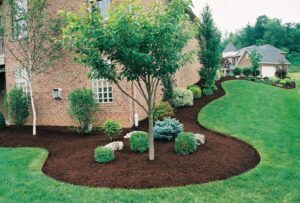 land-scaping-maintenance