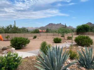 landscaping-10