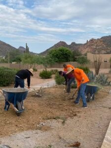 landscaping-11