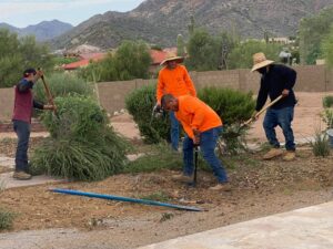 landscaping-17