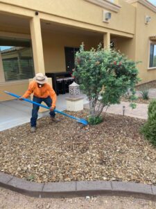 landscaping-19